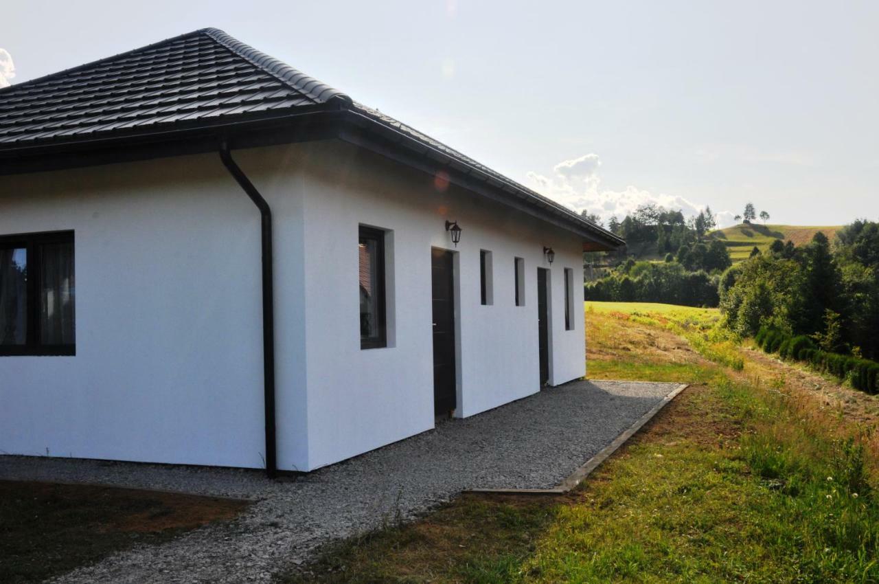 Pod Skala Apartment Polanczyk